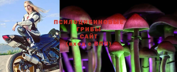 прущие крисы Баксан