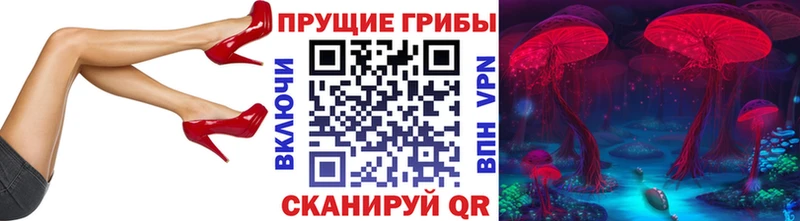 Псилоцибиновые грибы прущие грибы  mega ONION  Троицк 