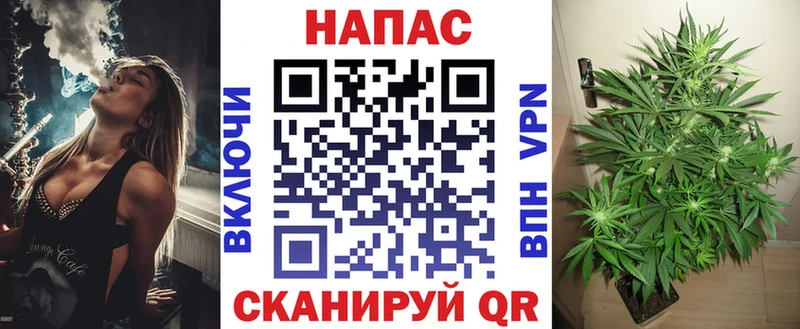 Бошки Шишки планчик  Троицк 
